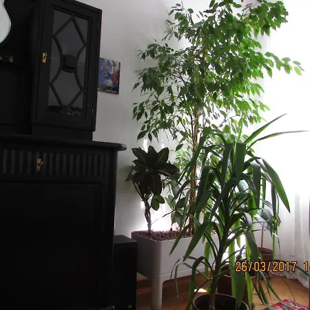 Art Nouveau Apartment Vienna