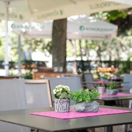 Bergwirt Schoenbrunn 3* Vídeň
