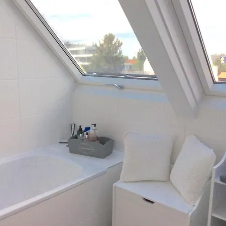 Apartment Flair Alte Donau *