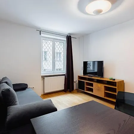 Newly-renovated, In The Heart Of Apartment Vienna