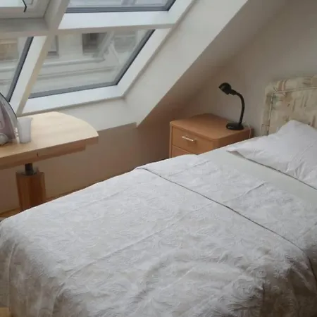 Apartment Grosses Penthouse #12 Mit Terrasse Und Aussicht Vienna