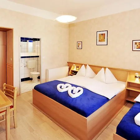 Hotel Franzenshof 2*