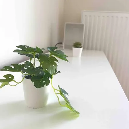 Modern & Sunny 52m2 With Balcony & Fast Wifi Wenen
