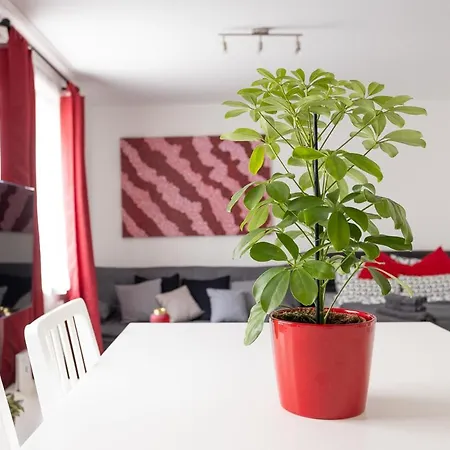Apartment New Shalalaliving - Lovenest Or Workspace Near Schoenbrunn Bg *