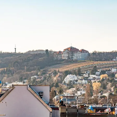 Rooftop Mit Grosser Terrasse