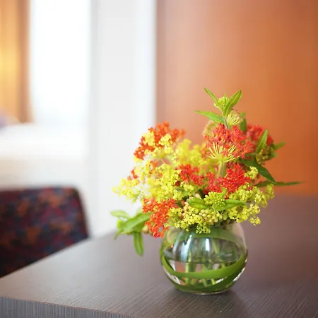 Hotel Drei Kronen Vienna