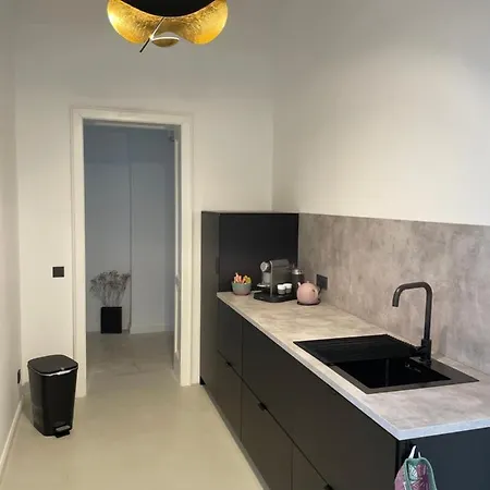 Luxury Downtown Apartment *