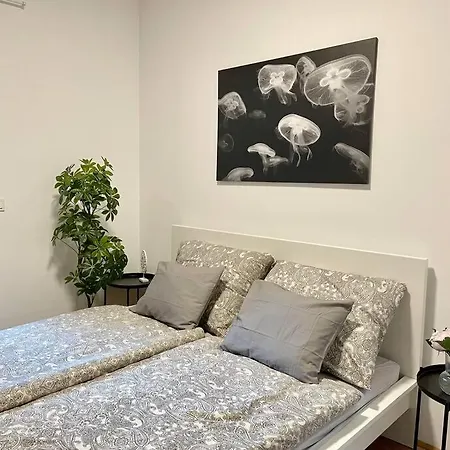 Premium With Terrace, A/c, Free Wifi And Netflix