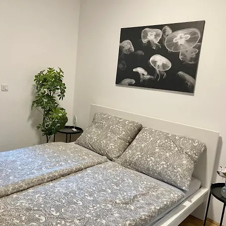 Premium With Terrace, A/c, Free Wifi And Netflix Apartment