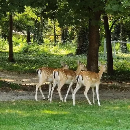 Gartenhotel Altmannsdorf 4*