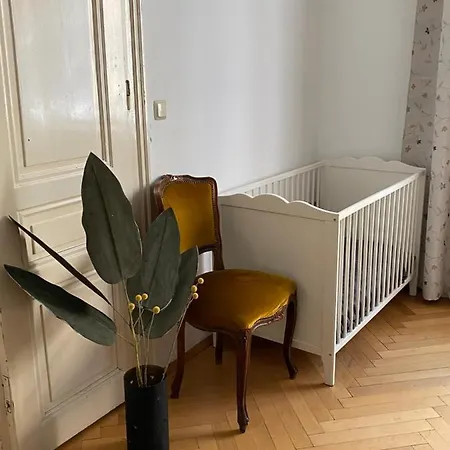 Big Vintage Style Flat Near Schonbrunn