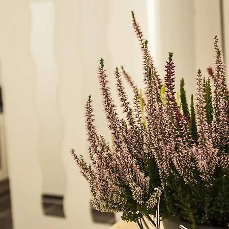Urban Flats Danube Apartment *
