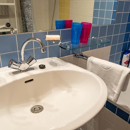 Maple Avenue Apartment Vienna