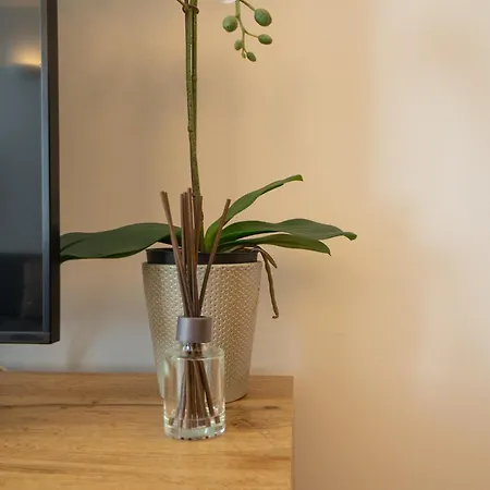 Charming With Balcony, Close To Stephansdom Cathedral Apartman Bécs