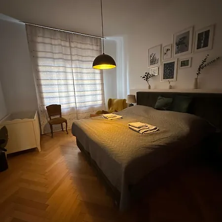 Big Vintage Style Flat Near Schonbrunn