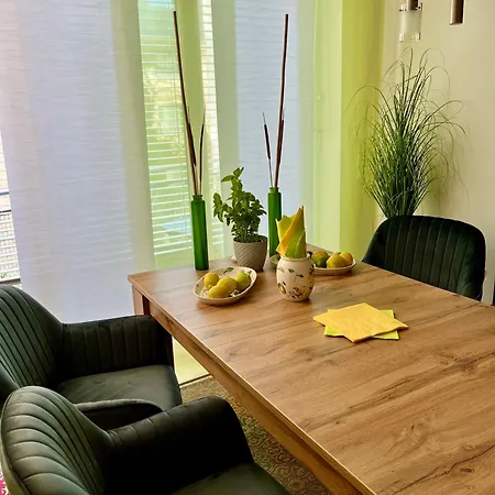 Luxurious Incl Garage And Terrace Apartamento Viena