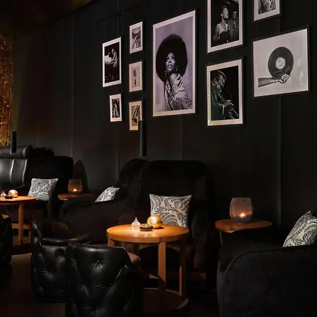 丽思卡尔顿酒店维也纳酒店 酒店 5*