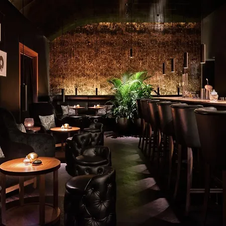 丽思卡尔顿酒店维也纳酒店 5* 维也纳
