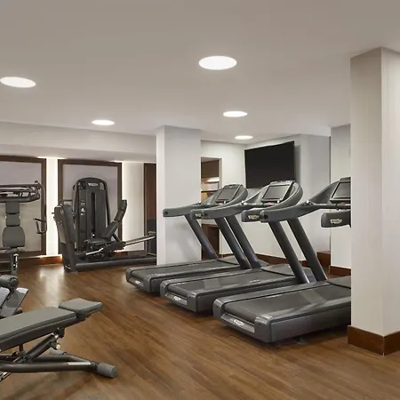 Hotel The Ritz-carlton,