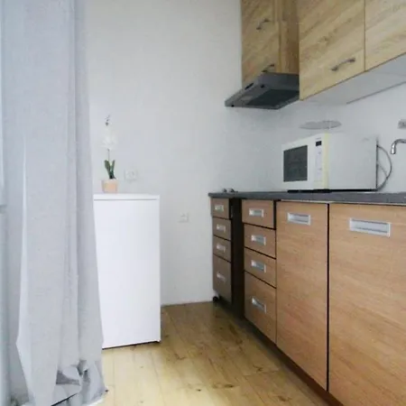 Modern In Millennium Area Apartment Vienna