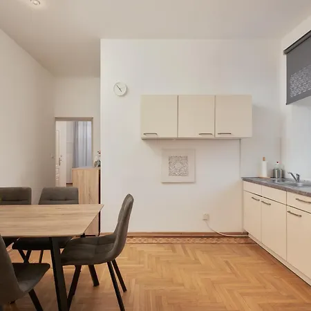 Apartment Schoenbrunn Palace Free Parking And 24h Check-in Vienna