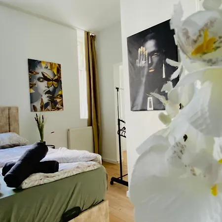 Apartment 8 Fully Equipped W Terrace Margareten