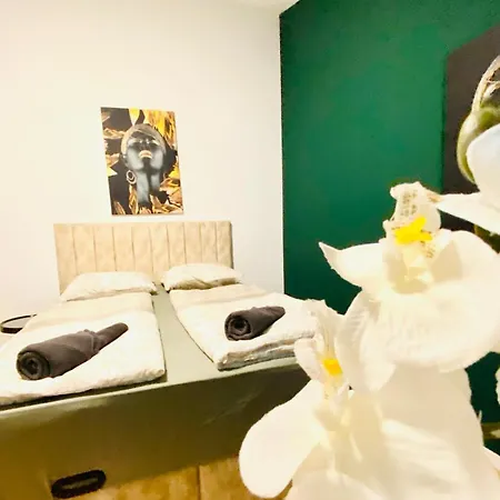 Apartment 8 Fully Equipped W Terrace Margareten