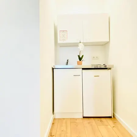 8 Fully Equipped W Terrace Margareten Apartment