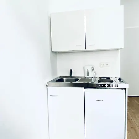 8 Fully Equipped W Terrace Margareten