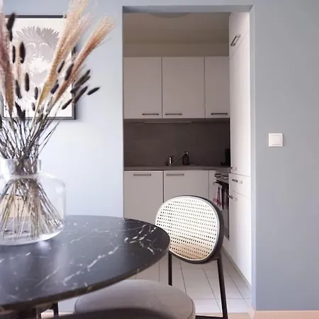 Apartament Long Term Stay, Next To Mariahilferstrasse Viena