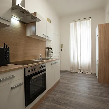 Cozy 1-br With A King Bed In A Calm Area Apartament Viena