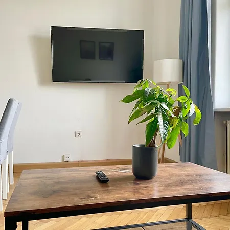 55 M2 Stylish Vienna