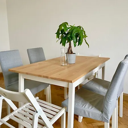 55 M2 Stylish Vienna