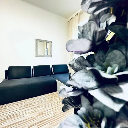 Affordable 2br Apartment, Close To Danube River Apartment Vienna