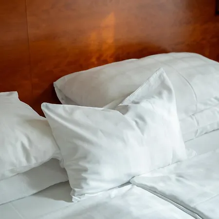 Hotel Josefshof Am Rathaus 4*