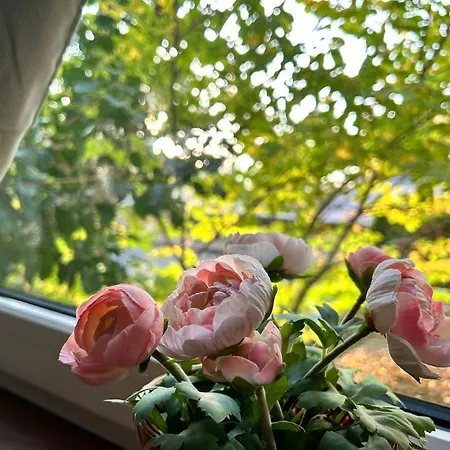 Apartamento Prime Near Schoenbrunn Castle *