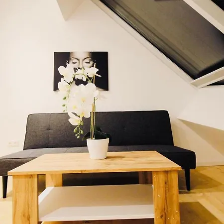 Hostel 6 Min To Amusement Park - Economy In Shared Vienna