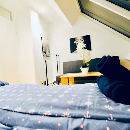 Hostel 6 Min To Amusement Park - Economy In Shared *