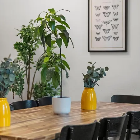 Apartament Chic