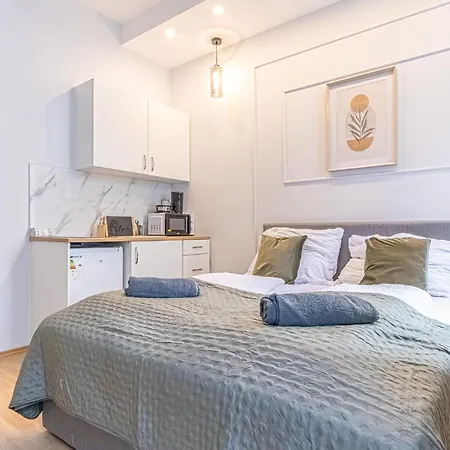 Spacious Shared Schoenbrunn Apartment Vienna
