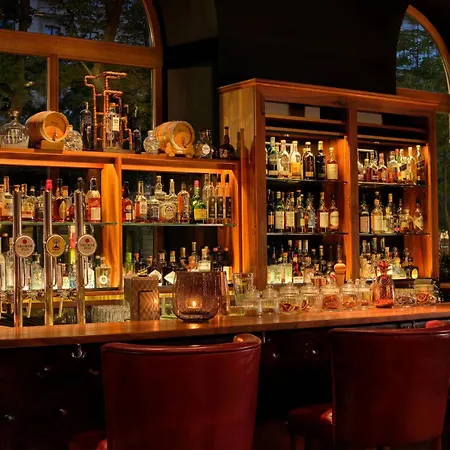 酒店 丽思卡尔顿酒店维也纳酒店 5*