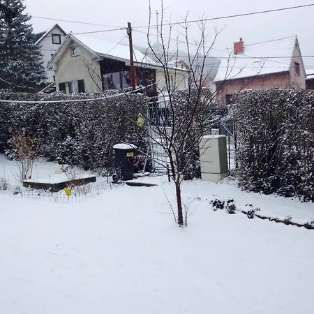 In House - Charming Retreat With Garden Metro Access Viena