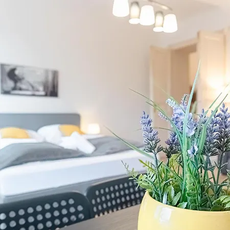 Affordable 2 Apts For 16p 4br Great For Families * Vienna