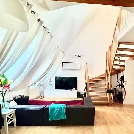 Lovely And Modern Bécs