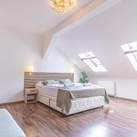 Spacious 3br Shared Apt, Very In Apartament Viena