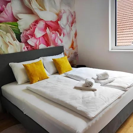Roksoxhome Exklusives In Vienna