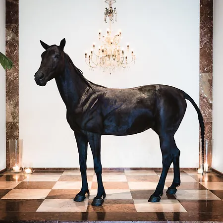 Hotel Grand Ferdinand - Your In The Center 5*