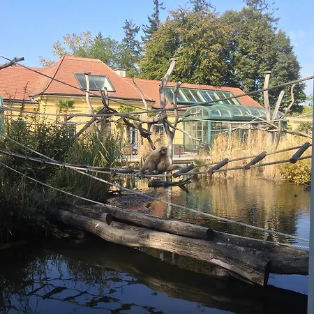 Apartment Big Vintage Style Flat Near Schonbrunn *