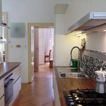 Big Vintage Style Flat Near Schonbrunn Apartment *