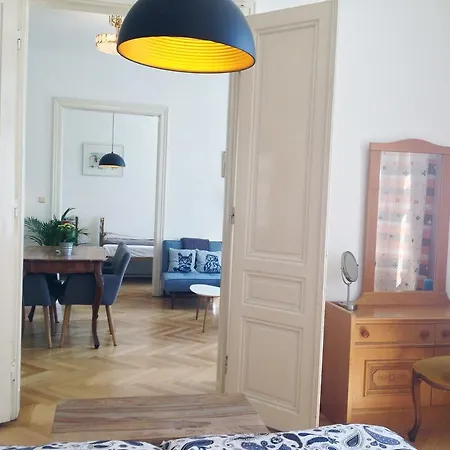 Big Vintage Style Flat Near Schonbrunn Apartment Vienna